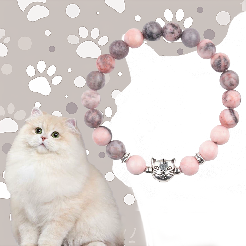 Gold Gradient Cat Pink Zebra Stone Protective Bracelet | Zen Ara Grove