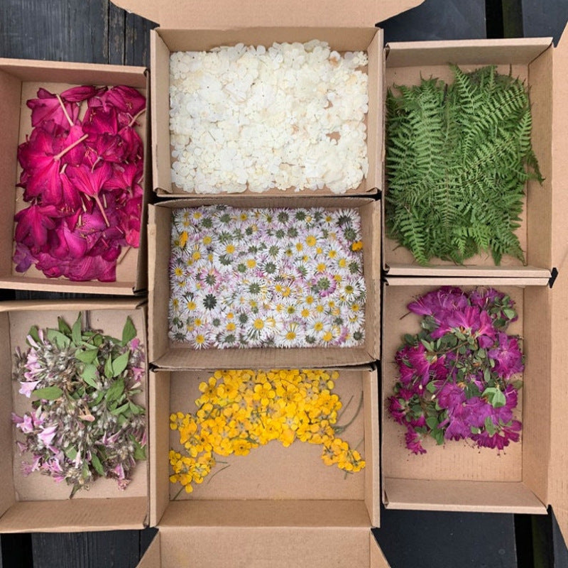 $9.99 LIMITED TIME OFFER Real Pressed Flower Pendant – Timeless Nature Captured in Art | Zen Ara Grove