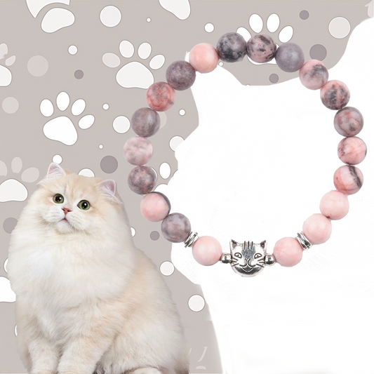 Gold Gradient Cat Pink Zebra Stone Protective Bracelet | Zen Ara Grove