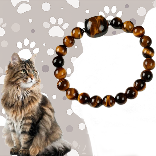 Maine Coon Cat Bracelet – Tiger’s Eye Beads with Gentle Guardian Charm | Zen Ara Grove