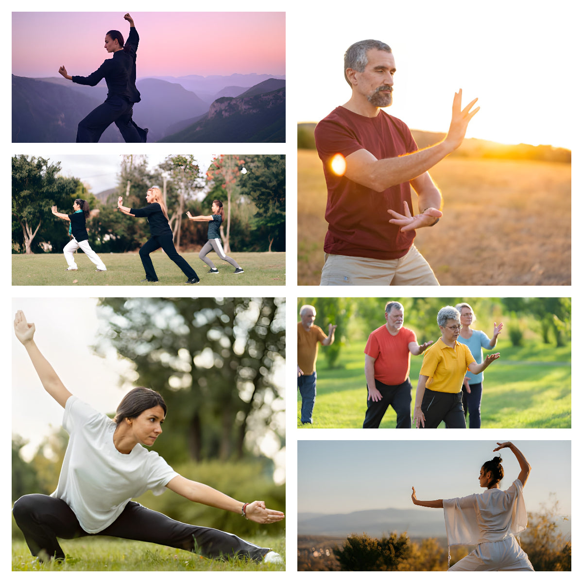 Tai Chi Kung Fu Creative Figurine Set | Zen Ara Grove