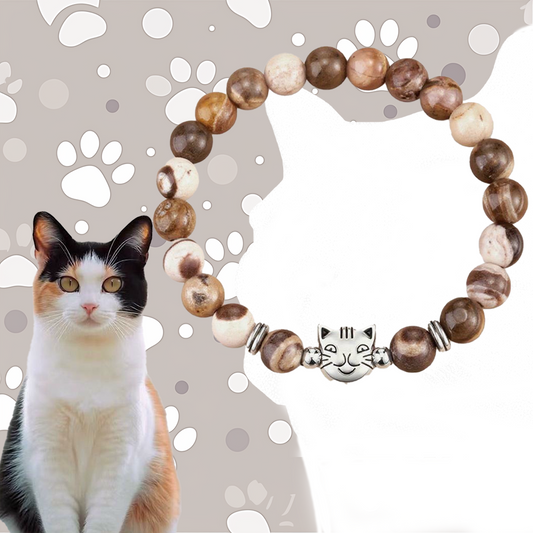 Calico Cat Zebra Stone Power Bracelet | Zen Ara Grove