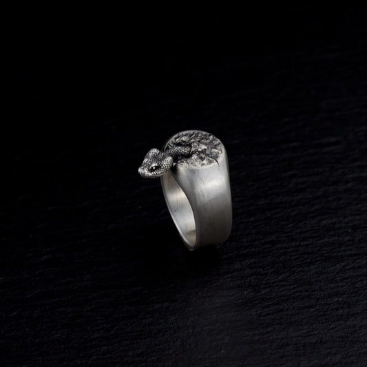 Serpent Zodiac Ring – Wisdom and Transformation Symbol | Zen Ara Grove