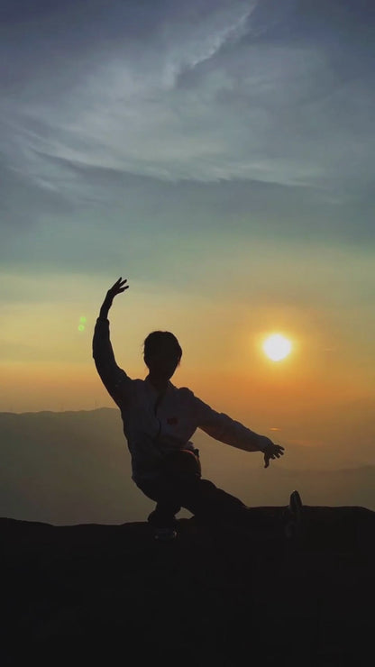 Tai Chi Kung Fu Creative Figurine Set | Zen Ara Grove